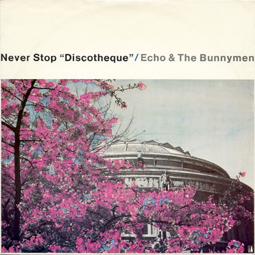 Never Stop