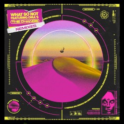 The Change (remixes)
