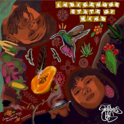 Indigenous State of Mind