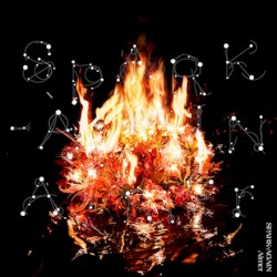 SPARK‐AGAIN
