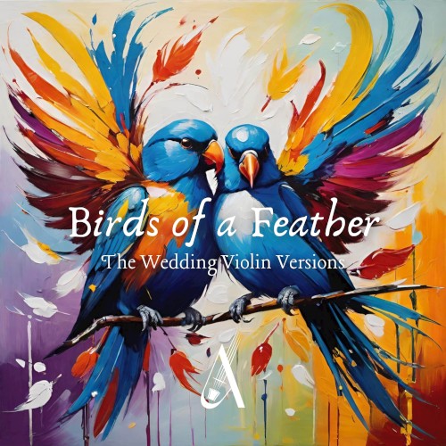 Birds of a Feather (The Wedding Violin versions)