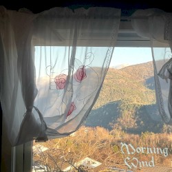 Morning Wind