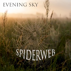 Spiderweb