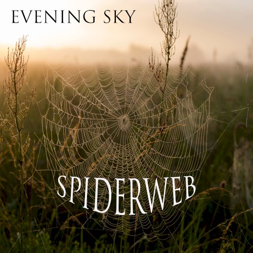 Spiderweb