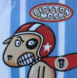 Bidston Moss