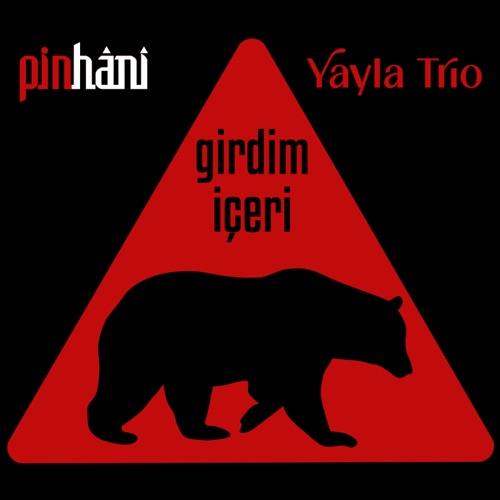 Girdim İçeri