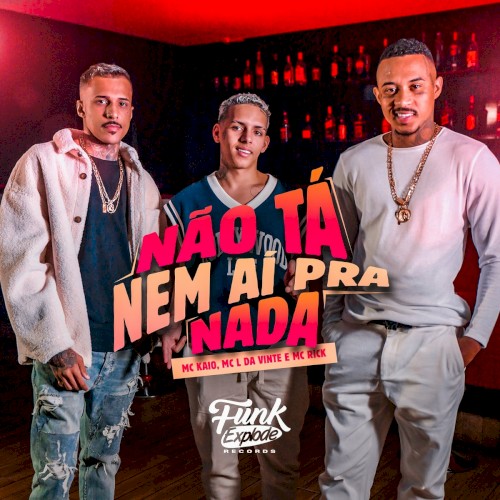 Não Tá Nem Aí pra Nada
