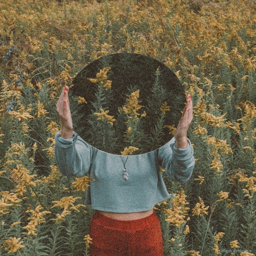The Fields Opera