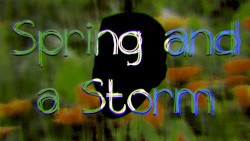 Spring and a Storm