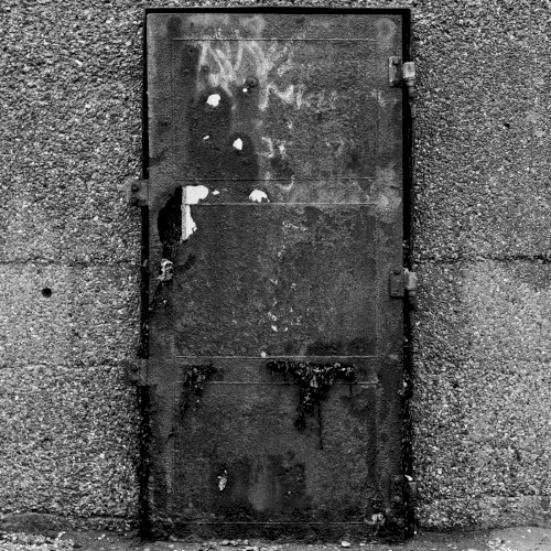 The Hidden Door