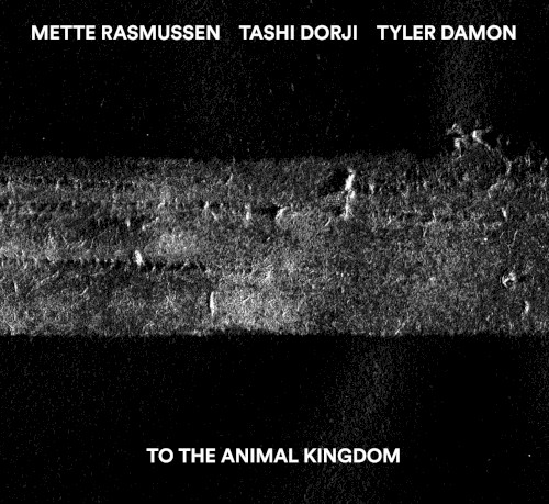To the Animal Kingdom
