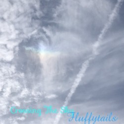 Crossing the Sky
