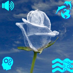 ▩ ヨフォシ– •WINZIP ▩