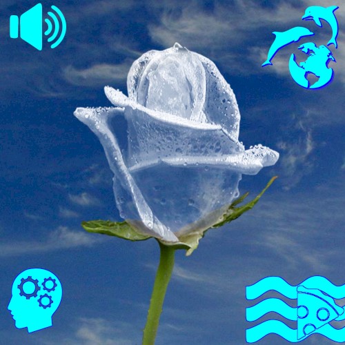 ▩ ヨフォシ– •WINZIP ▩