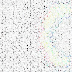 Loops, Cuts & Lost Clues: Volume Five