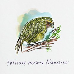 Ночная песня Какапо