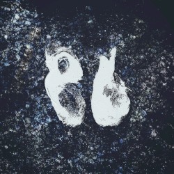 86
