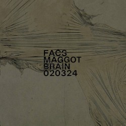 Maggot Brain 020324