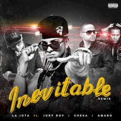 Inevitable (remix)