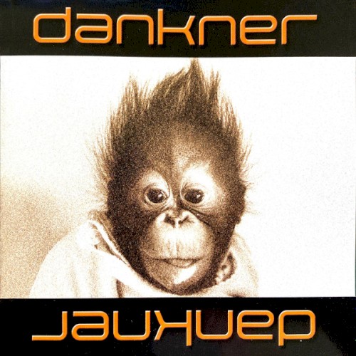 Dankner