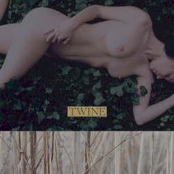 Twine