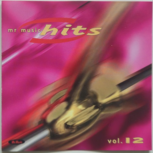 Mr Music Hits 12. 1998