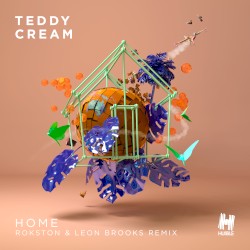 Home (Rokston & Leon Brooks remix)