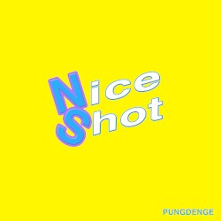 Nice Shot