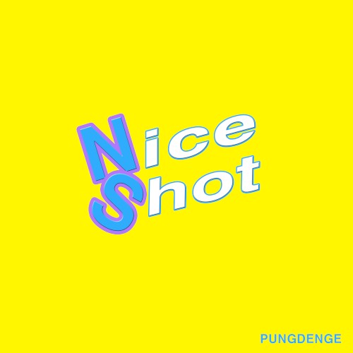 Nice Shot