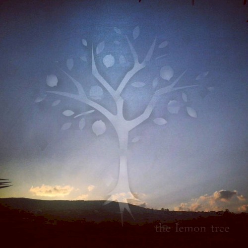 the lemon tree
