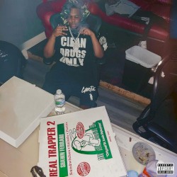 Real Trapper 2