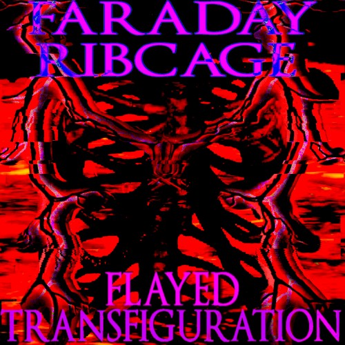 Flayed Tranfiguration