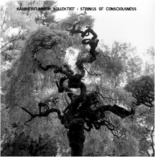 Kammerflimmer Kollektief / Strings of Consciousness