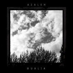 Qualia