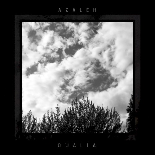 Qualia