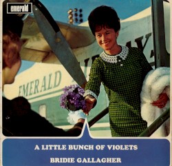 A Little Bunch of Violets