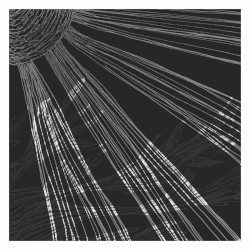 In Silver Halides