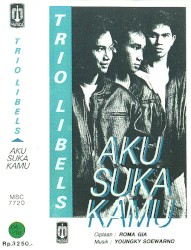 Aku Suka Kamu