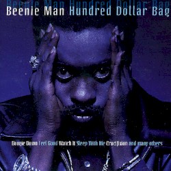 Hundred Dollar Bag