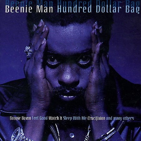 Hundred Dollar Bag