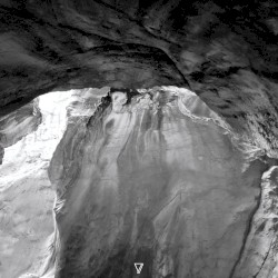 Vesania