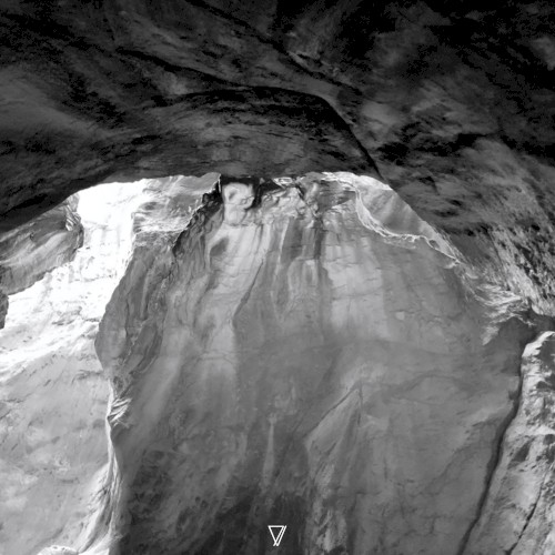 Vesania
