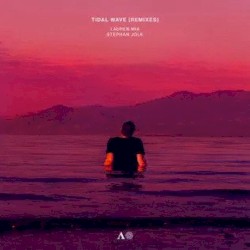 Tidal Wave (remixes)