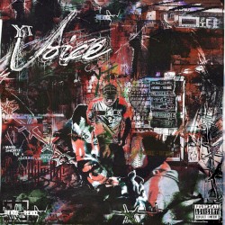 Voice