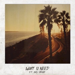 What U Need
