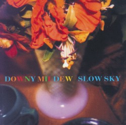 Slow Sky
