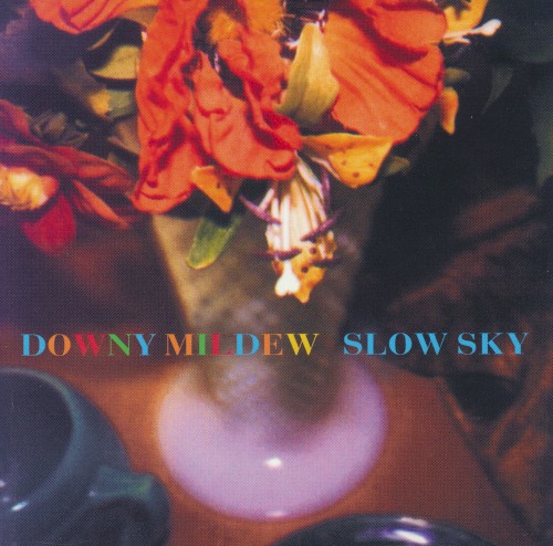 Slow Sky
