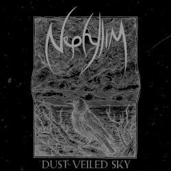 Dust Veiled Sky