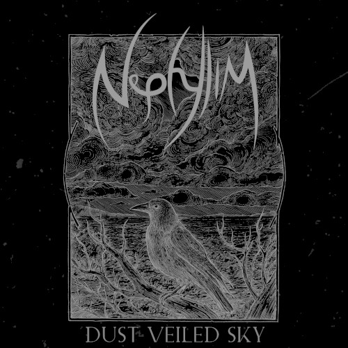 Dust Veiled Sky