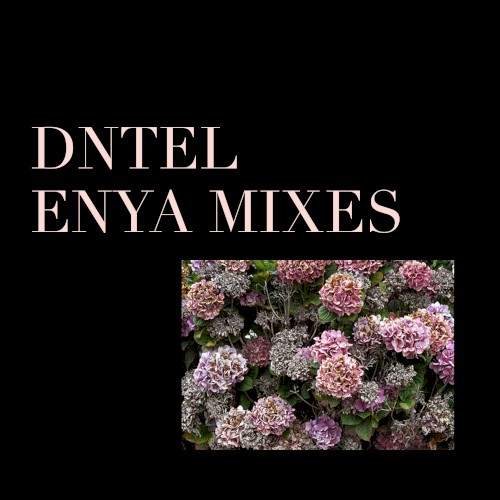 Enya Mixes